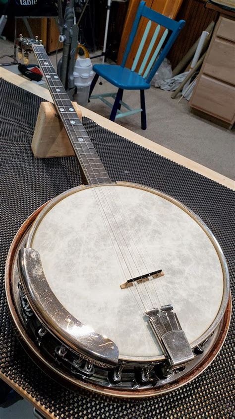 Banjo Repairs Adelaide