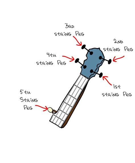 Banjo Setup String Action