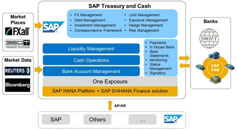 bank and cash management in sap