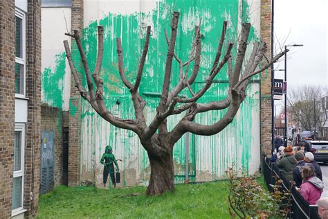 banksy tree defaced