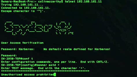 Banner Motd Examples