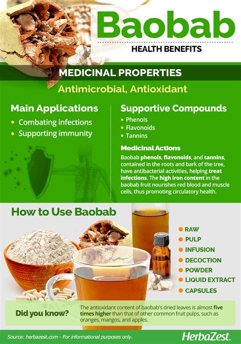 Baobab Leaf Powder Uses