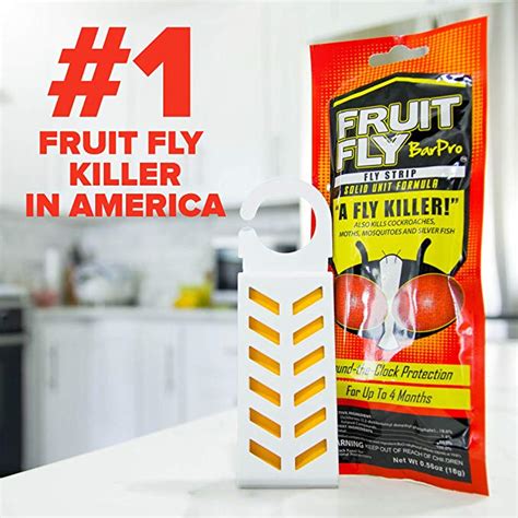 Bar Pro Fruit Fly