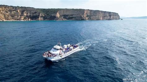 Barbate y Cabo Trafalgar con delfines
