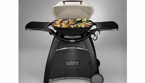 Barbecue Weber Q3000 Gas Grill Grey Buy Online In South