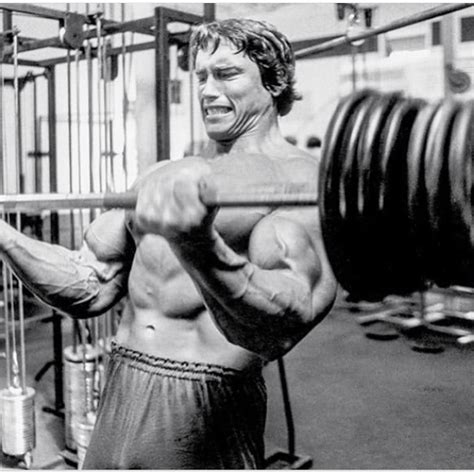Barbell Curl Arnold