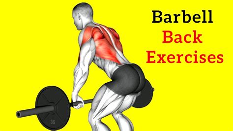 Barbell Exercises Back
