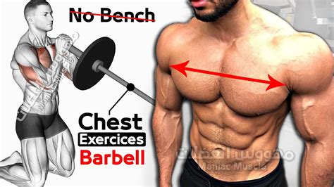 Barbell Exercises For Pecs