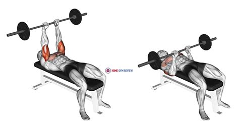 Barbell Jm Bench Press