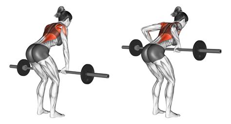 Barbell Row Lower Back Strain