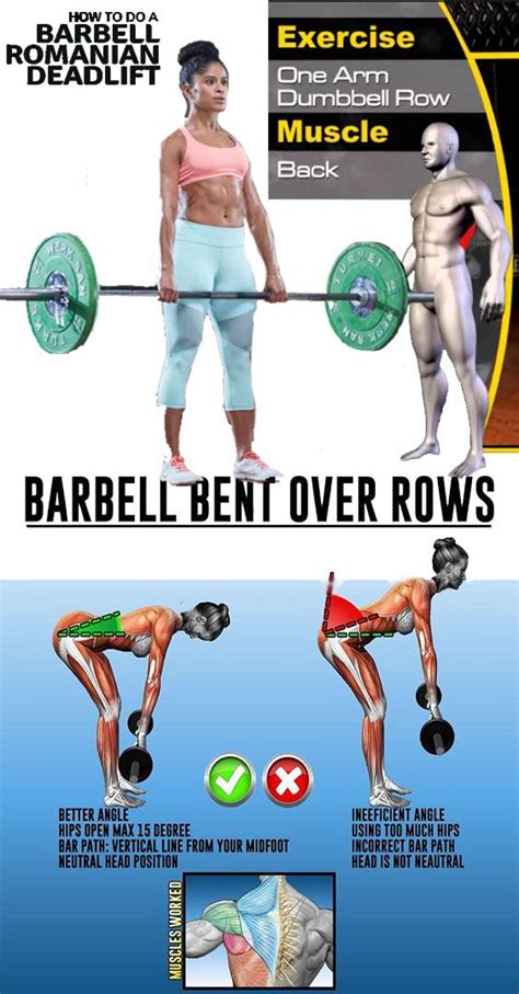 Barbell Row Strength Level