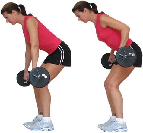 Barbell Rows Reps And Sets