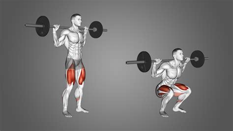Barbells Squats