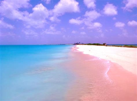 Barbuda Pink Sand Beach Vacation spots, Beautiful places, Places to go