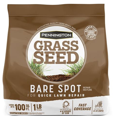 bare spot grass seed