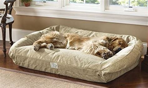 Bargain Dog Beds