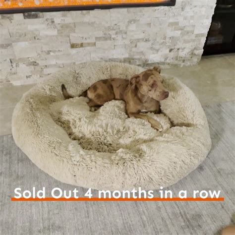 Barkbedsonline Com Reviews