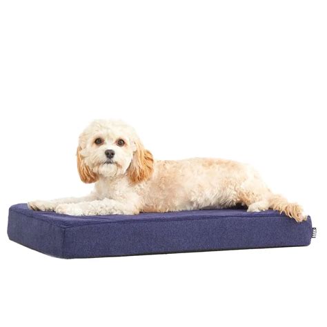 Barkbox Memory Foam Dog Bed Xl