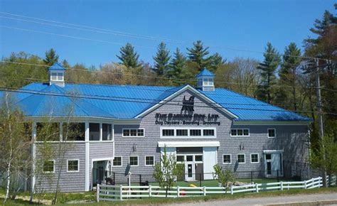 barking dog exeter nh