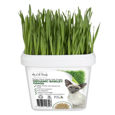 barley grass for cats