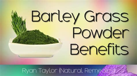 Barley Powder Uses
