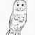 barn owl coloring