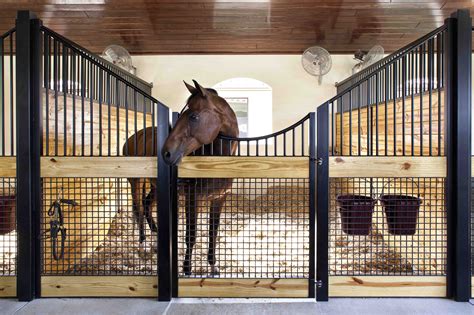 barn equipment for horses