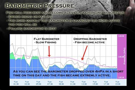 Barometer Effect On Fishing