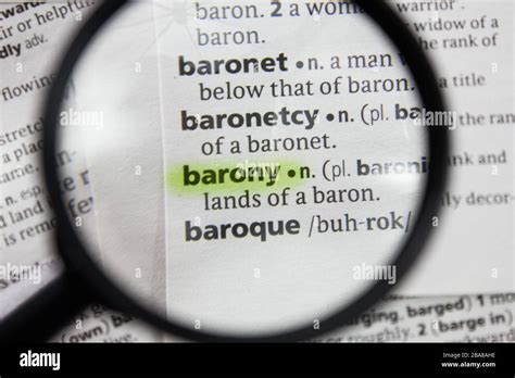 Barony Dictionary Meaning