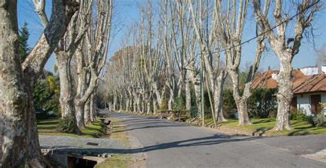 barrios cerrados en zona norte