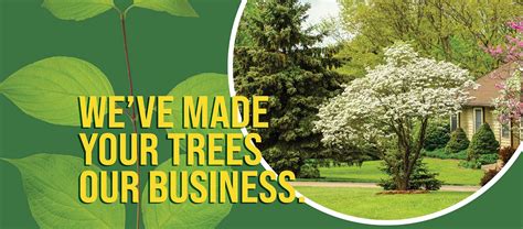 bartlett tree experts bolingbrook