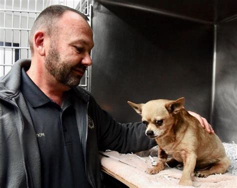 bartow county animal control