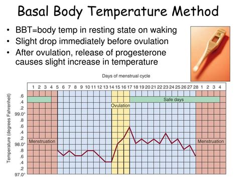 Basal Body Temperature Low Thyroid Function