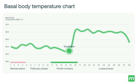 Basal Body Temperature Ovulation Accuracy
