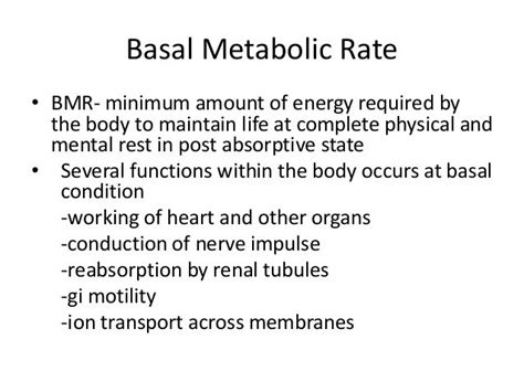 basal metabolism definition