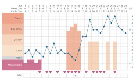 Basal Temperature Pregnancy Chart