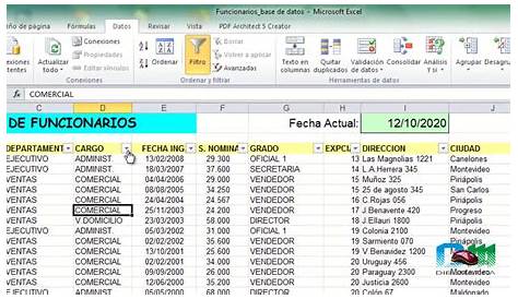 Base de datos en Excel • Excel Total
