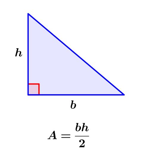 Área de un Triángulo Rectángulo Fórmulas y Ejercicios Neurochispas