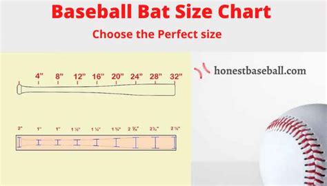 Baseball Bat Size Cm