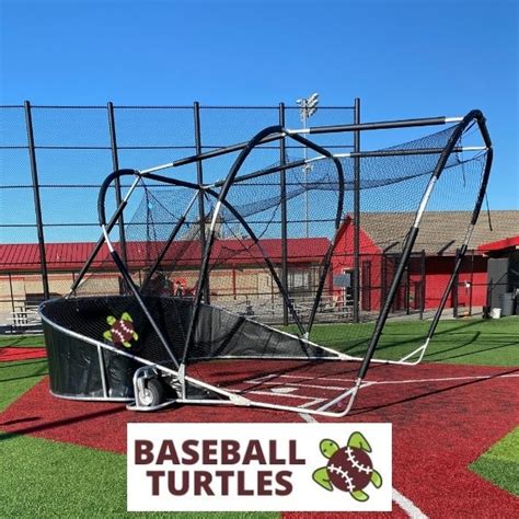 Baseball Batting Turtle
