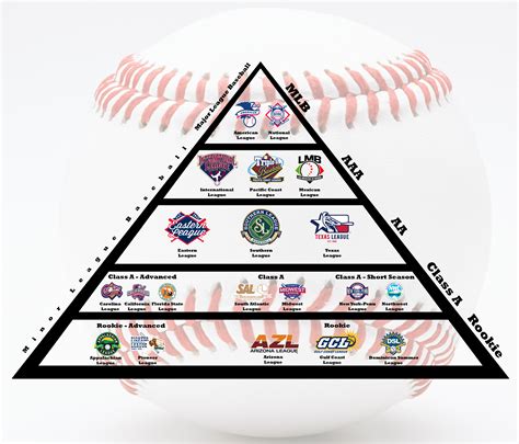 Baseball Different Leagues