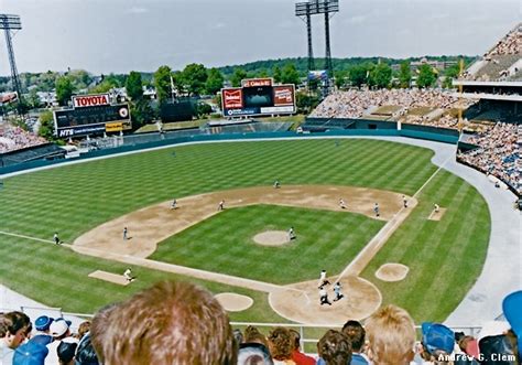 baseball fever in baltimore