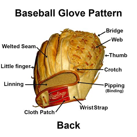 Baseball Glove Names