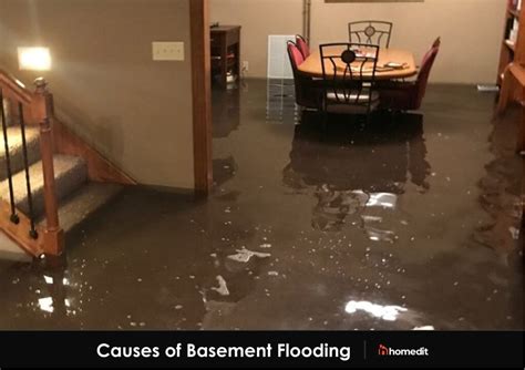 Basement Apartment Flooding