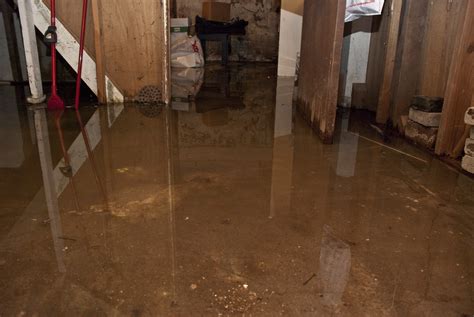 basement flooding after heavy rain