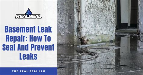 basement leak repair in youngstown