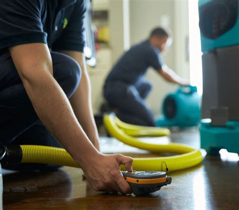 basement water restoration near me