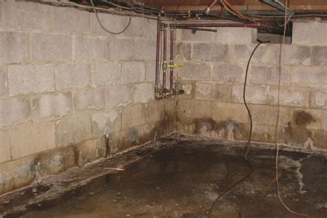 basement waterproofing estimates