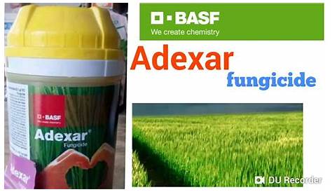 Basf Adexar Fungicidenew product of basf YouTube
