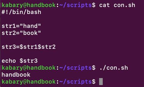 Bash Concatenate Strings Learn how to Join 2 or More Text Strings
